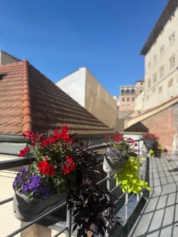 Design Hotel Neruda, Prague: the hotel and Mala Strana through the seasons (1)